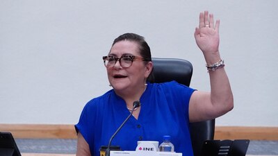 Taddei destacó que el INE será respetuoso de la ley electoral