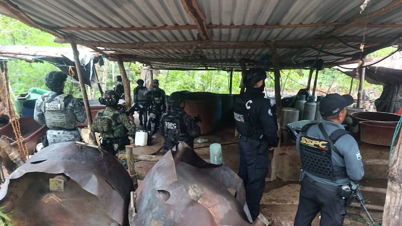 Desmantelan laboratorios de metanfetamina en Guerrero, afirma Harfuch