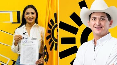 Fueron los únicos dos senadores que consiguieron su escaño por el Partido de la Revolución Democrática