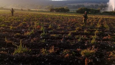 El robo de hidrocarburos ha ido a la baja en la actual administración, según AMLO