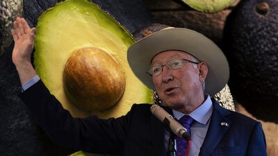 El embajador indicó que aún espera que mejoren las condiciones de seguridad