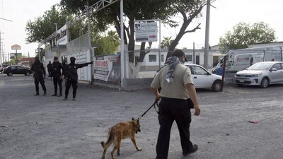 Las autoridades iniciaron labores para rescatar el cuerpo y hacer estudios correspondientes