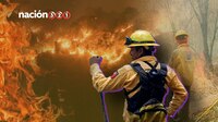 Desde 2023 los incendios forestales son más devastadores en México