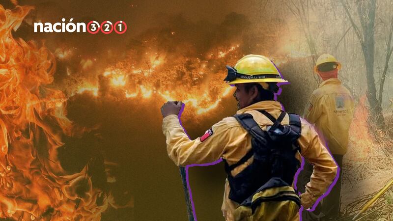 Desde 2023 los incendios forestales son más devastadores en México