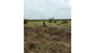 Un ingeniero del Nuevo Aeropuerto captó esa escena