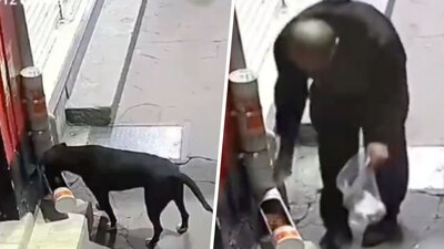 Hasta la noche de este martes, no se ha dado más información del tema