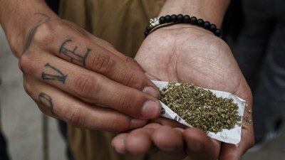 Esta semana el Senado analizará una iniciativa para legalizar la marihuana para uso lúdico