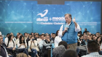Meade es el precandidato de la coalición entre PRI, Partido Verde y Nueva Alianza