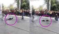 Indigna pelea de gallos en una escuela primaria de Hidalgo