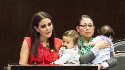 La diputada del PES hablando en la tribuna de la Cámara de Diputados