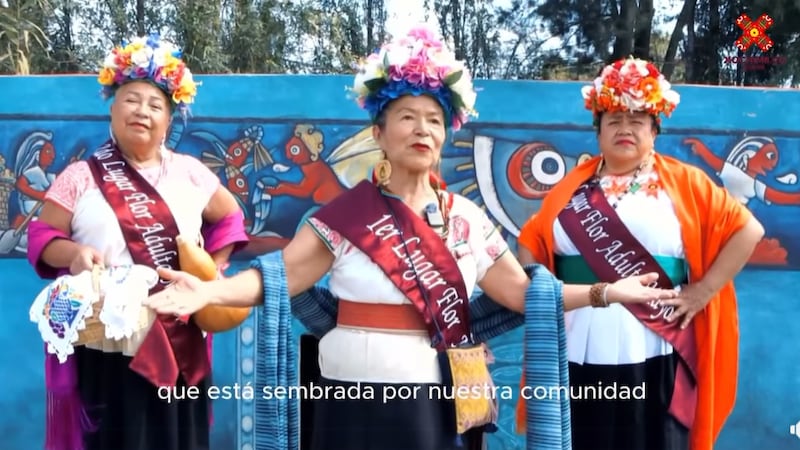 Xochimilco lanza “La Flor más Bella Mujer Mayor” para participantes de 60 años en adelante
