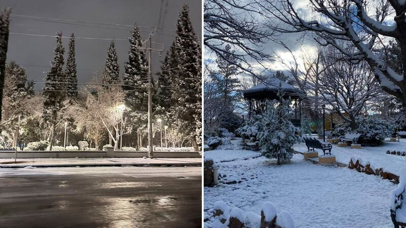 FOTOS: Nevadas ‘pintan’ de blanco Chihuahua; prevén temperaturas de hasta -12 grados en zonas serranas