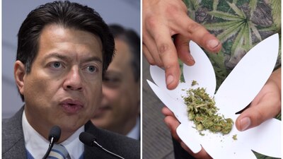 Mario Delgado busca que el monopolio de la cannabis pertenezca al estado