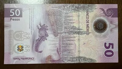 En sitios de internet se vende en grandes cantidades