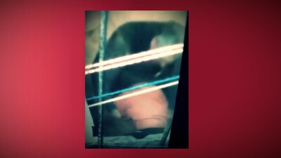 Un hombre golpea a su madre sin motivo alguno.