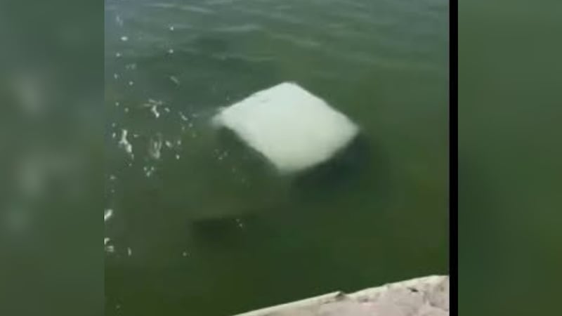 Mueren 4 marinos tras caer a un río en la región de La Pesca, en Tamaulipas