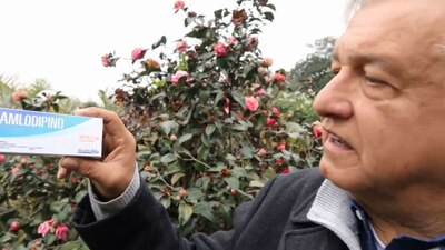 López Obrador dijo que ante las molestias que pueden provocar las elecciones, AMLODIPINO es la solución