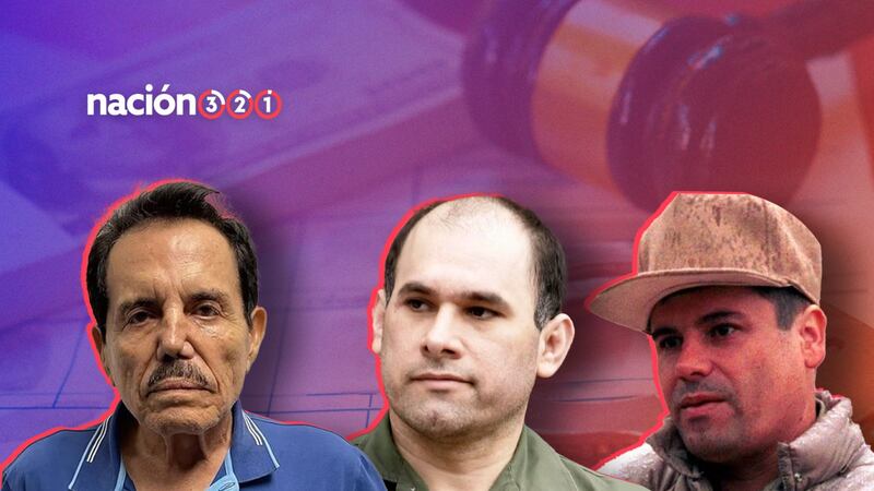 Radiografía: El impacto de los cárteles considerados por EU como terroristas