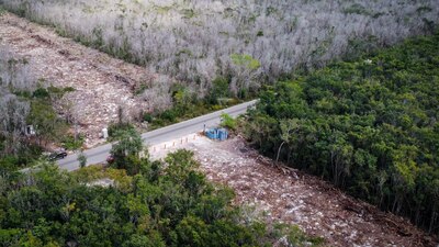 Indicaron que hay una deforestación en Playa del Carmen, Río Secreto, Akumal y Tulum sin los estudios.
