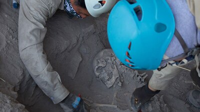 La osamenta refiere que es de un individuo corpulento que rebasaba los 1.65 metros de estatura