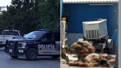 El CAAM del municipio de El Marqués dijo que fueron envenenados el pasado 6 de febrero