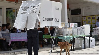 5 estados tendrán elecciones el siguiente año
