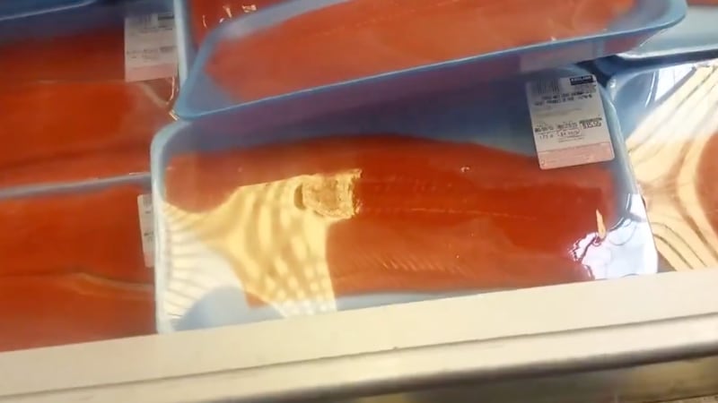 VIDEO: Comprador capta gusanos en salmón del Costco