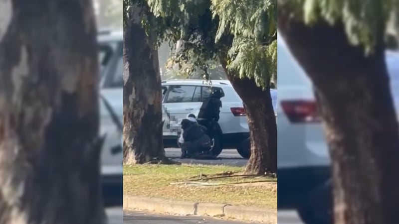 Balacera en las calles de Zapopan, Jalisco deja varios muertos y cinco lesionados