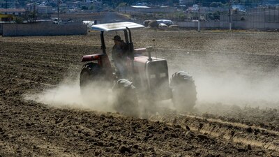 Las actividades agropecuarias repuntaron 12.5%, su primer avance luego de tres meses con caídas anuales