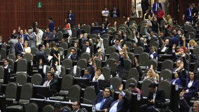 Los legisladores ahora discutirán en lo particular el dictamen