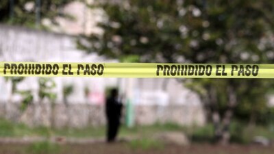 Seis entidades concentran el 48% de los homicidios dolosos