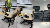 Perro policía ayuda a la Marina a hallar 8.8 kilos cocaína dentro de una silla de ruedas en el AICM
