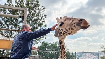Con estos resultados se descarta que el animal muriera por falta de alimento