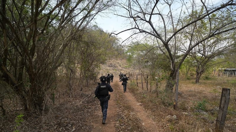 Encuentran 6 cuerpos en Cintalapa, Chiapas; víctimas habrían sido plagiados en bares