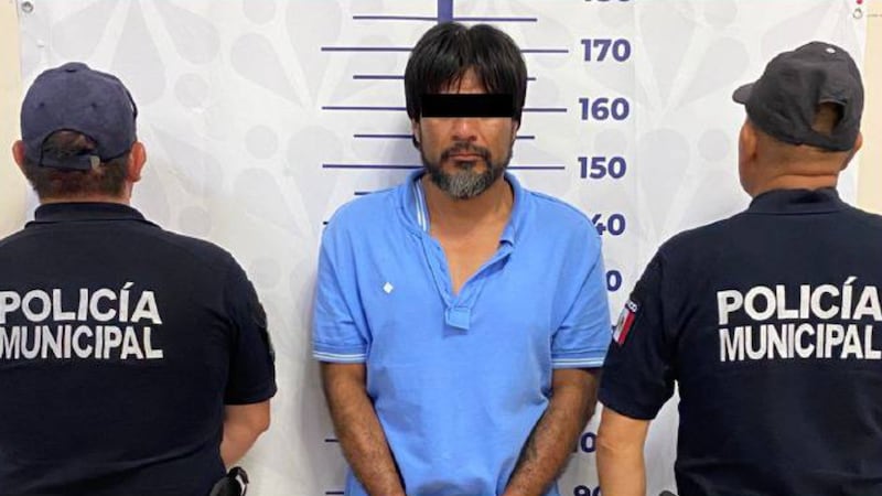 Muere perrita tras defender a su dueña de un ataque; el agresor es vinculado a proceso