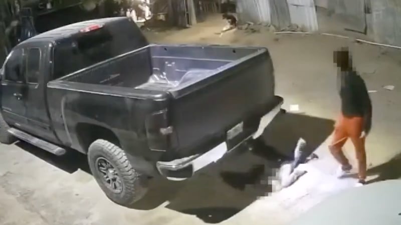 VIDEO: Aseguran a niña de 2 años que era violentada por su madre en NL