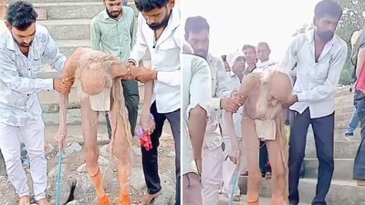 Hasta ahora la edad verdadera de Siyaram Baba es desconocida