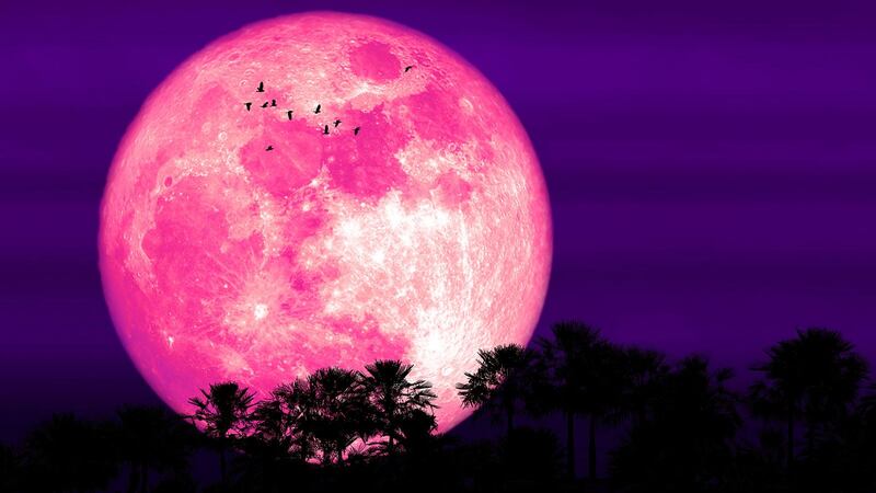 ‘Luna de Fresa’: ¿qué significa este fenómeno astronómico y cuándo verlo?