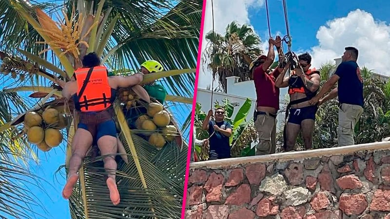 Rescatan a hombre que quedó colgado en una palmera tras practicar paracaidismo
