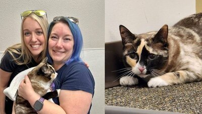 La 'michi' se encuentra a salvo