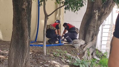 El pasado 28 de junio los elementos atendieron un reporte de una vivienda con olores fétidos