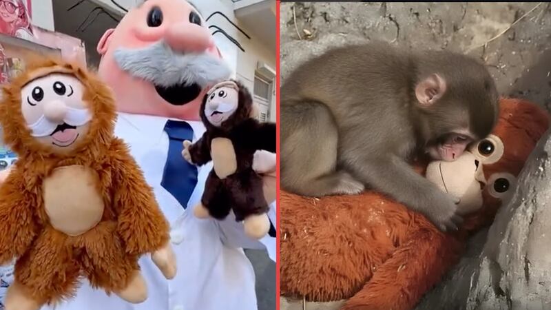 El Dr. Simi lanza una ‘edición limitada’ de su peluche, inspirada en ‘Punch’