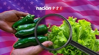 Lechuga, jalapeños y carne: los productos mexicanos a los que EU ha puesto ‘en la mira’