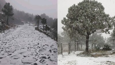 En un hecho inédito, varios puntos del país se pintaron de blanco