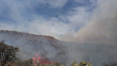 El incendio comenzó este martes cerca de las 13:30 horas.