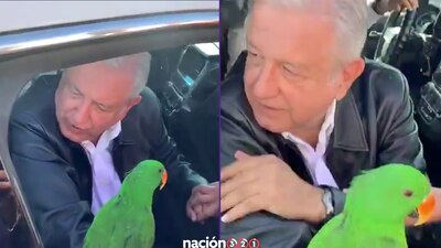 AMLO recibió un singular obsequio por parte de una ciudadana