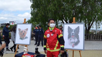 La instancia estatal indicó que, el miércoles por la noche se recibió la denuncia por parte del cuidador de los caninos