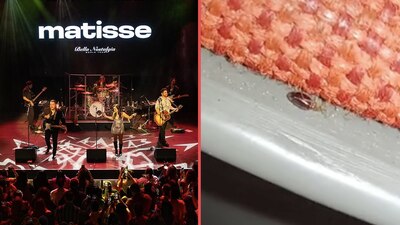 En pleno concierto aparecieron chinches en los asientos del recinto