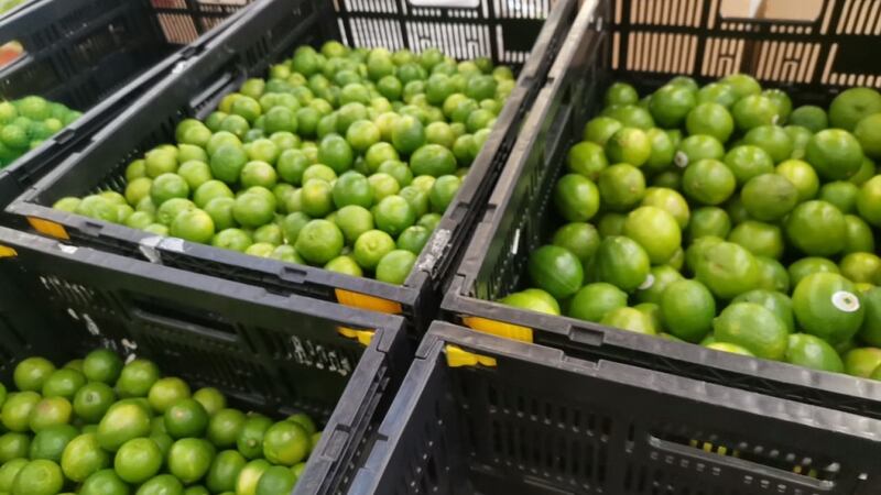 Industria limonera ya se reactiva paulatinamente en Michoacán: Ramírez Bedolla