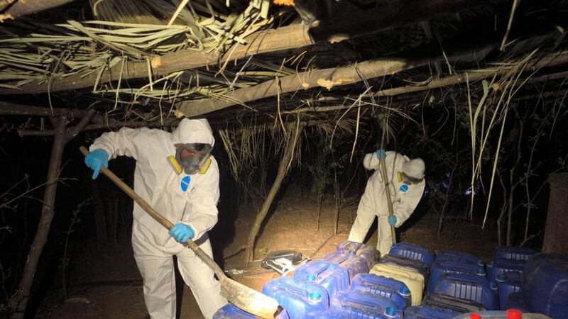 Trump ordena la “eliminación total de cárteles  y organizaciones criminales trasnacionales”